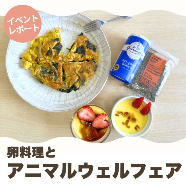 4月14日(月)、パルシステムのつどい「春の訪れを祝う 卵料理とアニマルウェルフェア」を印西センター調理室よりオンラインで生配信しました。

はじめにPLA（パルシステム・ライフアシスタント）の渋井さんから、パルシステムの産直の理念、循環型農業、アニマルウェルフェアについてお話をしていただきました。

事前アンケートでは申し込みのきっかけとして、約半数の方が「アニマルウェルフェアについて学びたい」を選ばれていたこともあり、渋井さんのお話にうなずきながら、メモを取りながら、熱心に耳を傾ける方もいらっしゃいました。

続いてサポーターとスタッフで実際に調理しながら「手作りたまごプリン」と「スパニッシュオムレツ」の作り方を紹介しました。

調理デモを見た後、ご希望の参加者には調理をしていただいて、試食交流も行いました。

スパニッシュオムレツには、ゲランドの塩と無茶々園の粗びき黒こしょうを使いました。 プリンにはコーヒーソースでウサギのデコレーションをほどこして、春気分をアップです♪

手作りたまごプリンは、布巾を敷いたお鍋に耐熱容器を並べて蒸し上げます。弱火で蒸すことで、滑らかなプリンに仕上がります♪

講師の渋井さんも、
「今日の話は少し難しかったかもしれませんが、『産直たまご』をぜひ選んで応援していただきたいです」
と、産地への想いについてもお話しされていました。

#パルシステム
#パルシステム千葉
#パルシステムの つどい
#簡単 クッキング
#卵料理
#アニマルウェルフェア