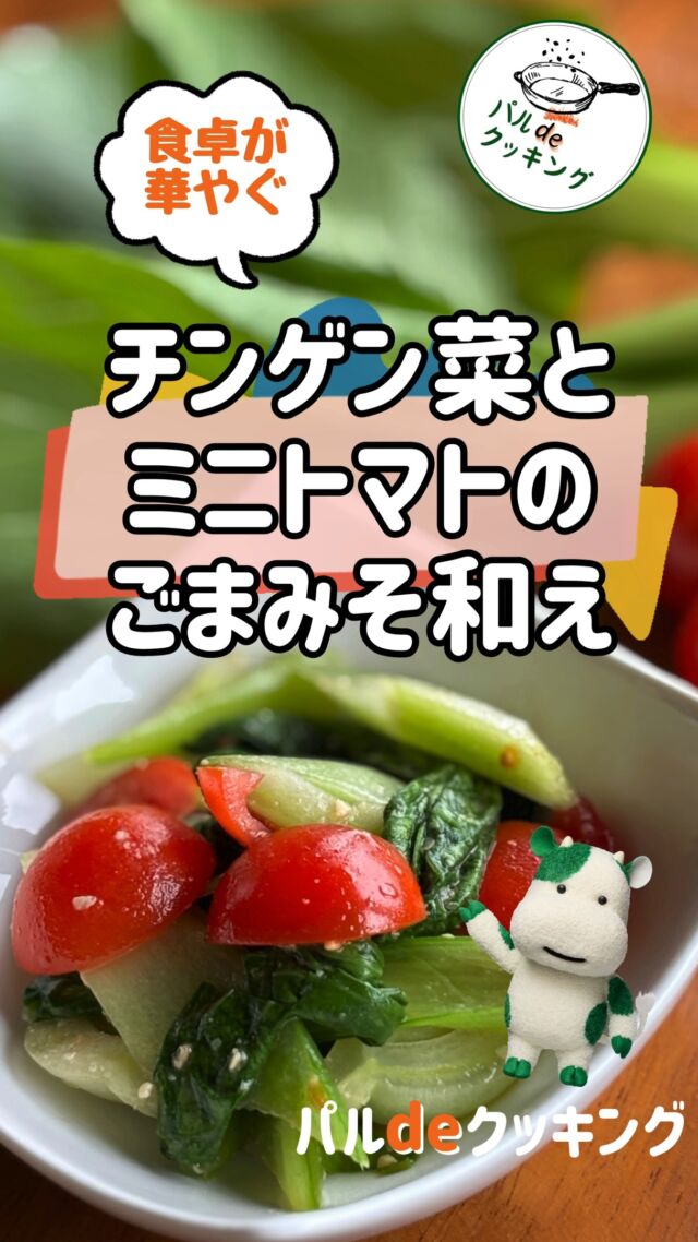 生協の宅配パルシステム千葉がおすすめするレシピ動画です！

【材料　4人分】
チンゲン菜：2～3株　
ミニトマト：１パック　
ごま油 ：適量　
みそ： 大さじ１　
便利つゆ：小さじ２　
すりごま：小さじ1/2　

【作り方】
①チンゲン菜は耐熱容器にいれて600ｗで２分加熱する　
②冷水にとり、水気を絞って食べやすい大きさに切る　
③ミニトマトは1/4に切る　
④調味料を混ぜ合わせる　
⑤チンゲン菜・ミニトマトと調味料を和え、ごま油を足し合わせる

生活協同組合パルシステム千葉 
■公式サイト https://www.palsystem-chiba.coop/ 

#パルdeクッキング#パルシステム千葉#産直#簡単レシピ＃レシピ動画 #レシピ＃料理動画 #青梗菜 #ミニトマト #副菜レシピ#レンジで簡単 #チンゲン菜