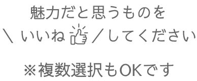 魅力だと思うものをいいねしてください